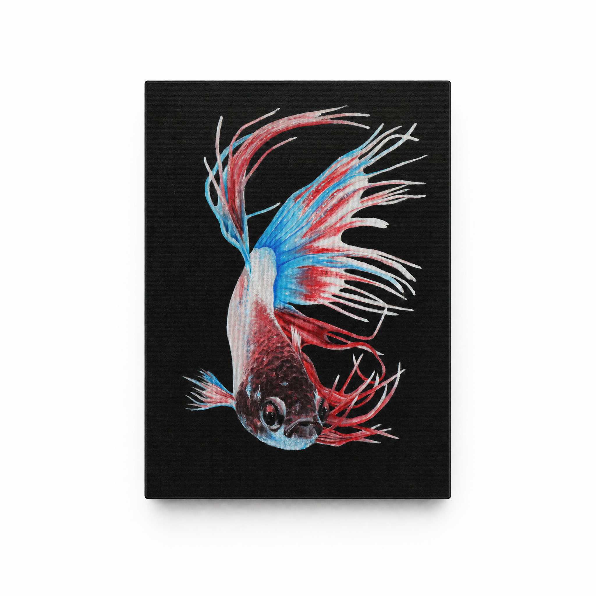 Fighting Fish