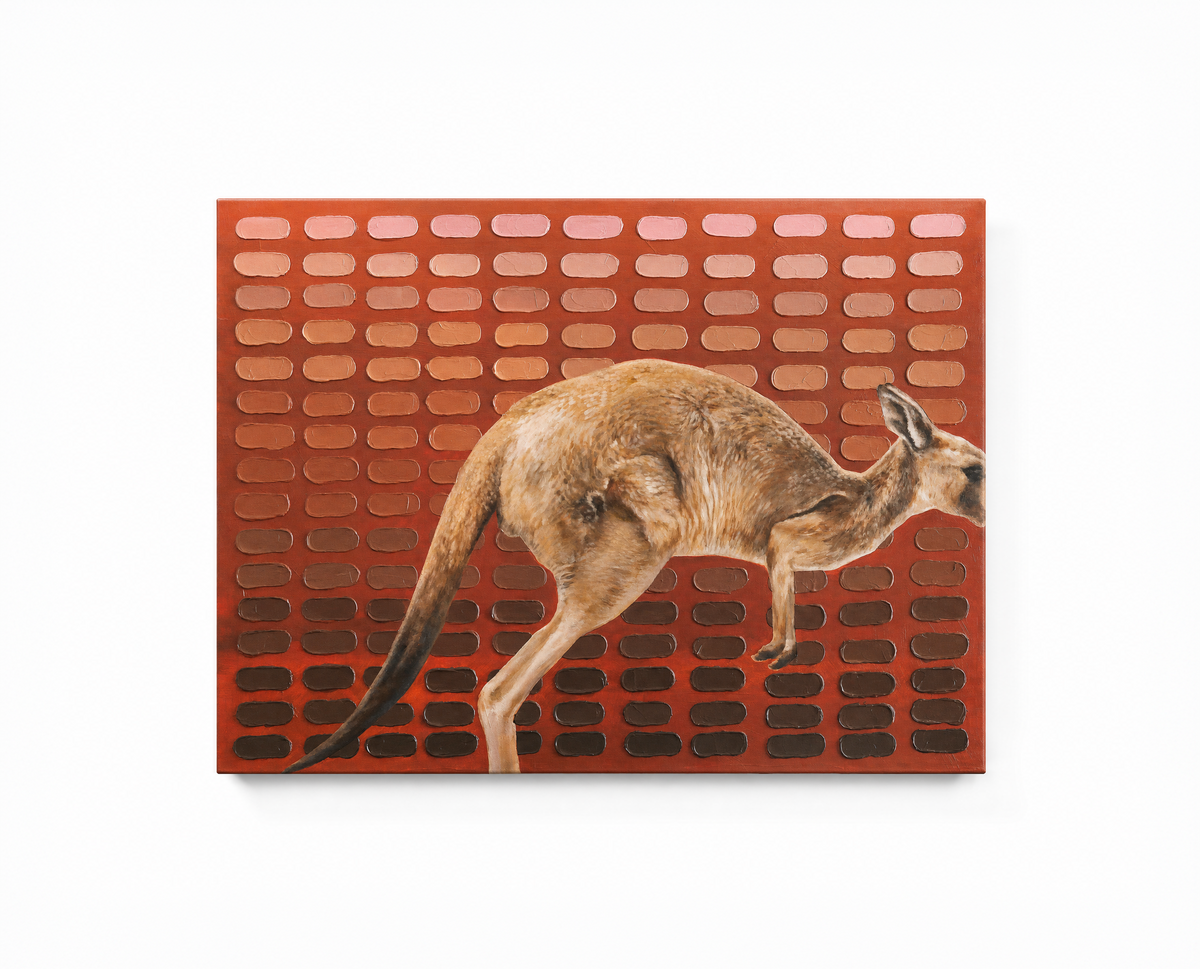 Sunset Kangaroo