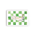 Checkerboard Bunny