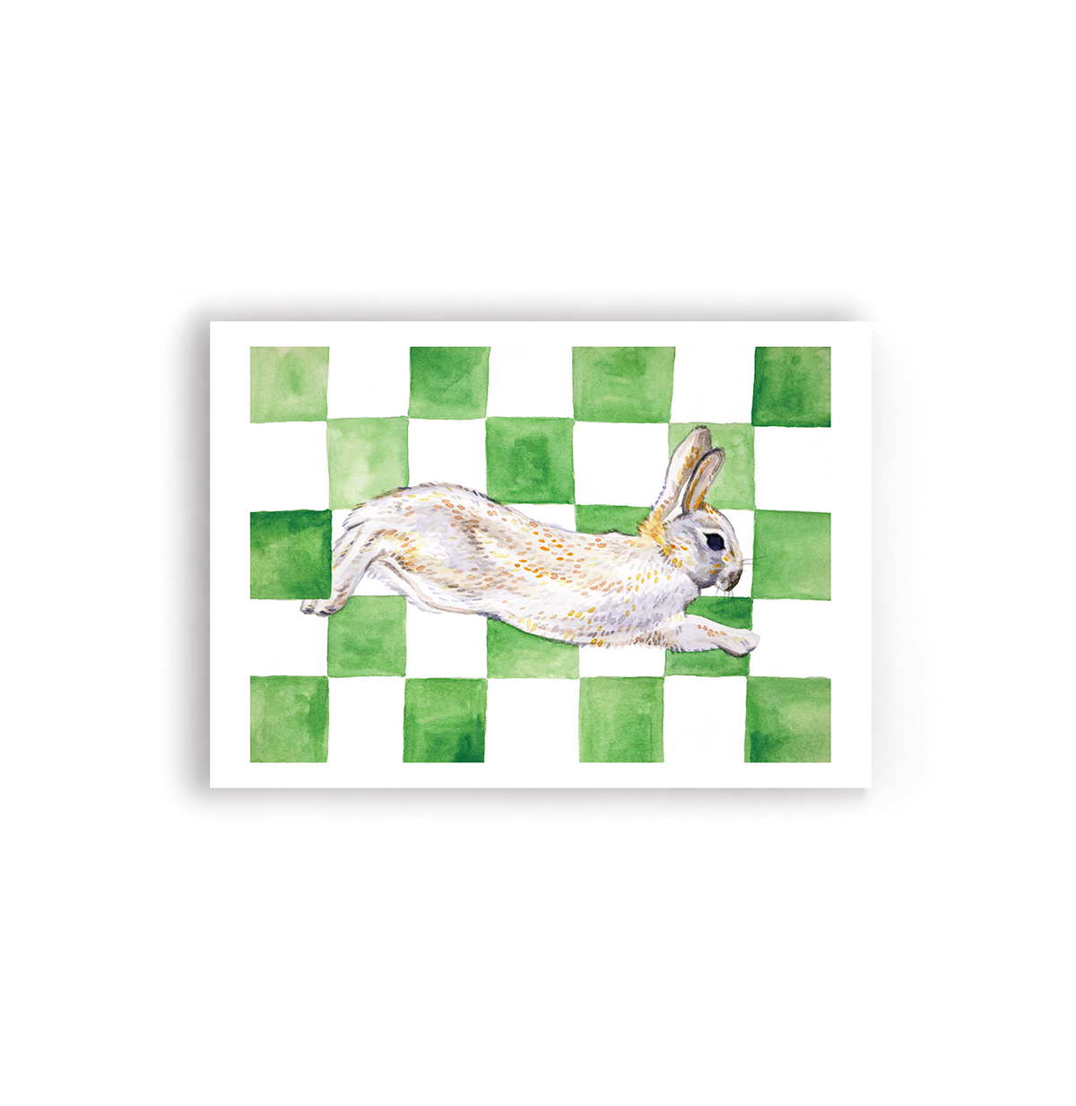 Checkerboard Bunny