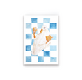 Checkerboard Duck