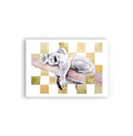 Checkerboard Koala