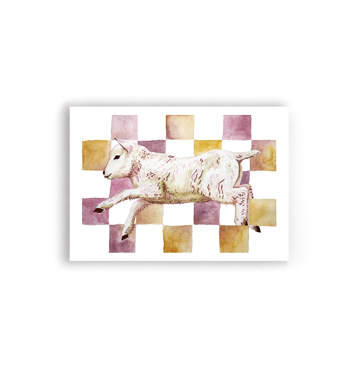 Checkerboard Lamb