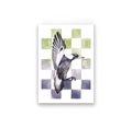 Checkerboard Magpie