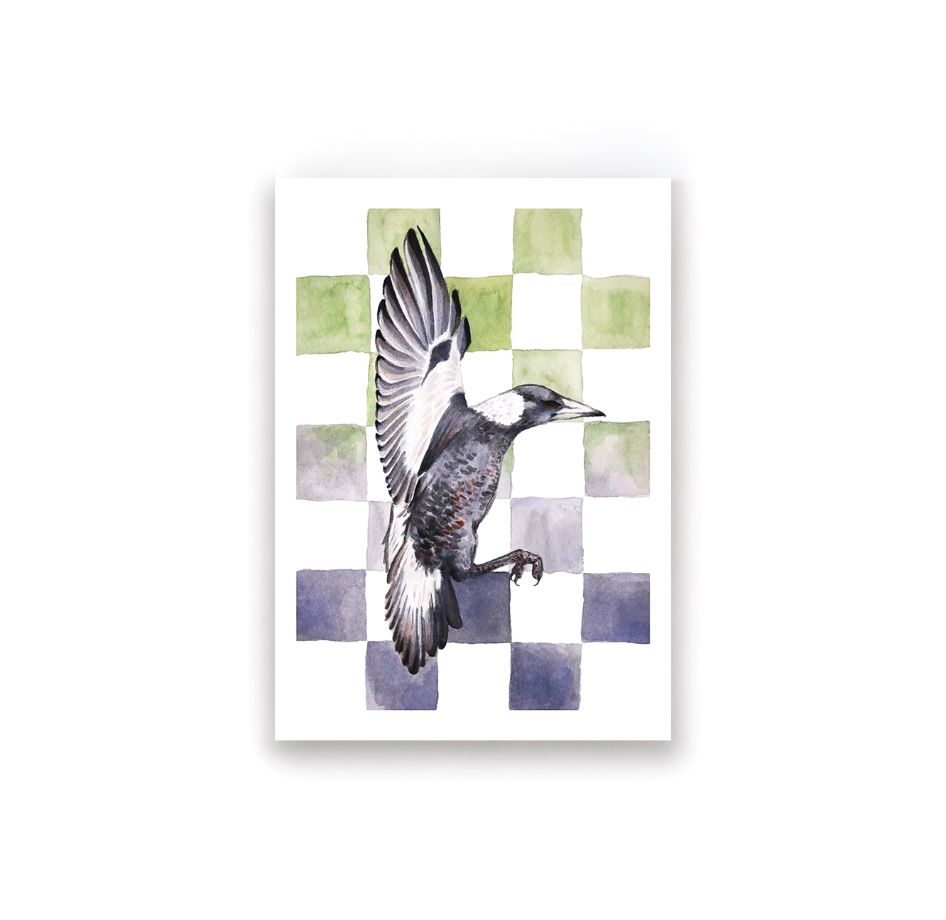Checkerboard Magpie